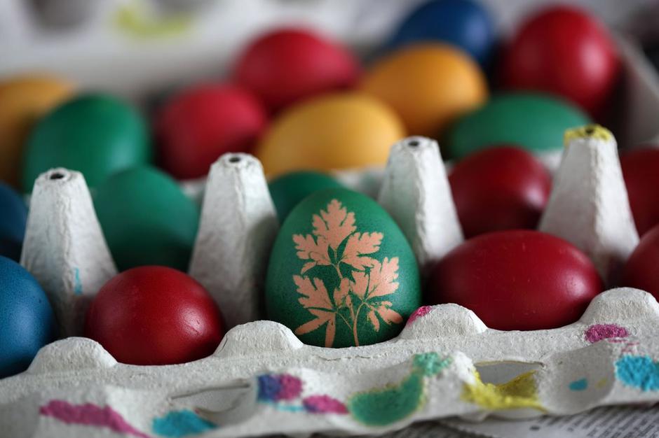 Pirhi | Avtor: Profimedia