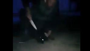 Mučenje psa v Srbiji