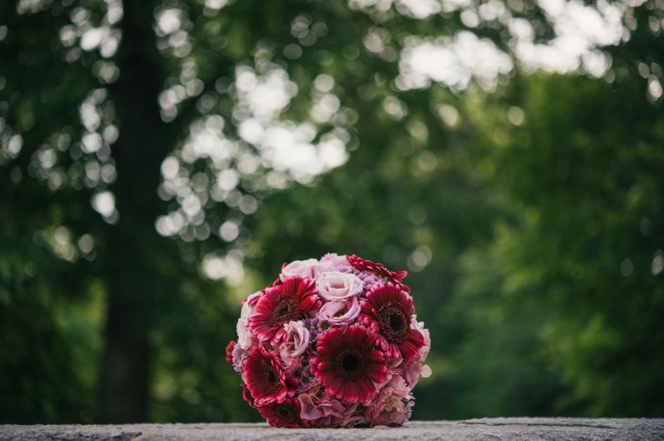Žurnalova sanjska poroka na Predjamskem gradu