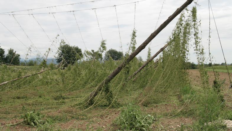 neurje Savinjska dolina toca Vojko Lapajne