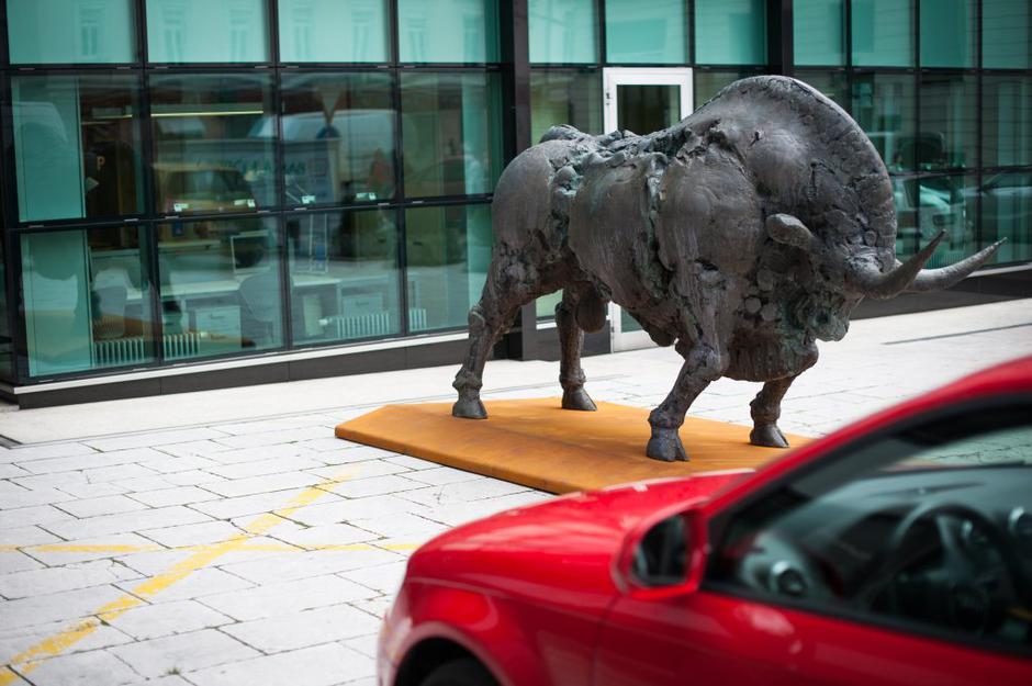 mipov bik | Avtor: Anže Petkovšek