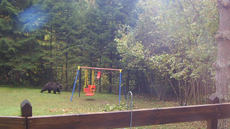 (Foto: V. in N. Puntar)