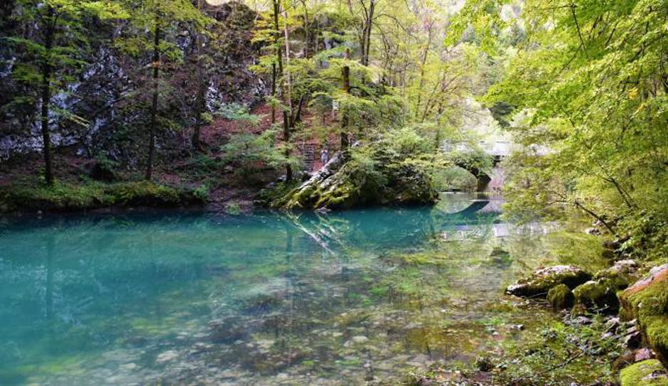 Divje jezero | Avtor: Google Maps