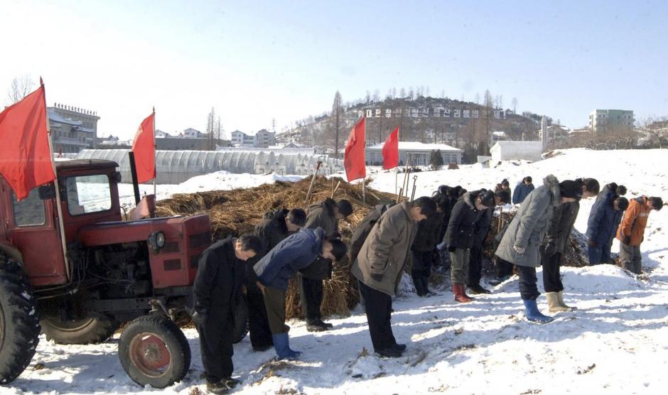 Življenje je obstalo tudi na severnokorejskem podeželju. | Avtor: Reuters