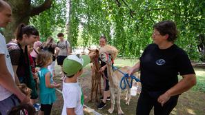 Festival za ljubitelje živali 2023