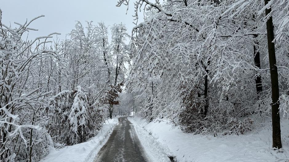 Zasnežena cesta | Avtor: Peter Šalamon