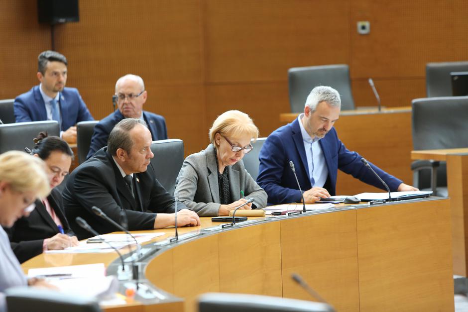 Poslanci SDS in NSi | Avtor: Martina Čuk/Državni zbor