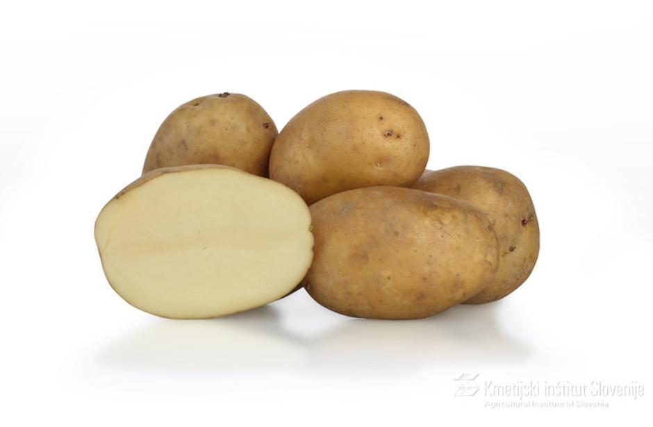 KIS Sora | Avtor: arhiv KIS