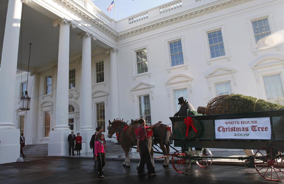 Novoletna smrekica pred Belo hišo