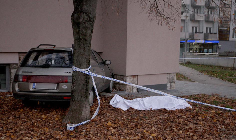 Dogodek na Ceovški cesti.