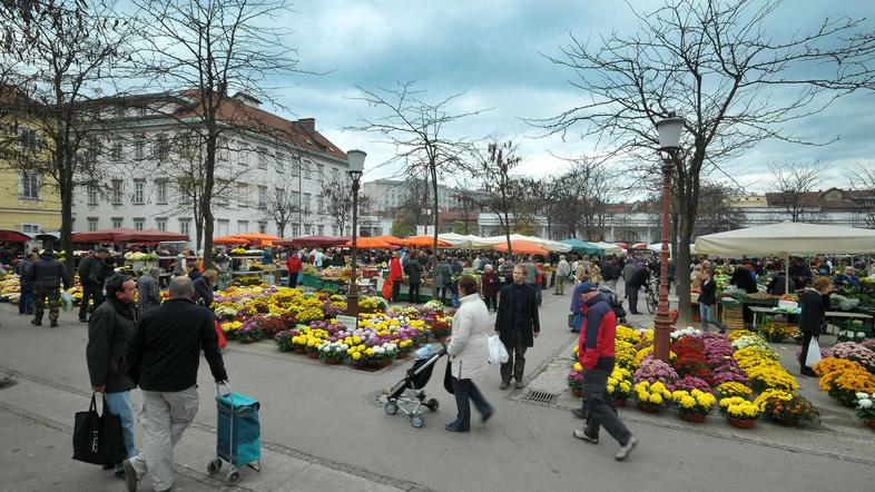 Če bo Mihael Jarc vendarle zbral dovolj podpisov proti gradnji garažne hiše pod 