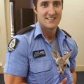 Kengurujček in policist