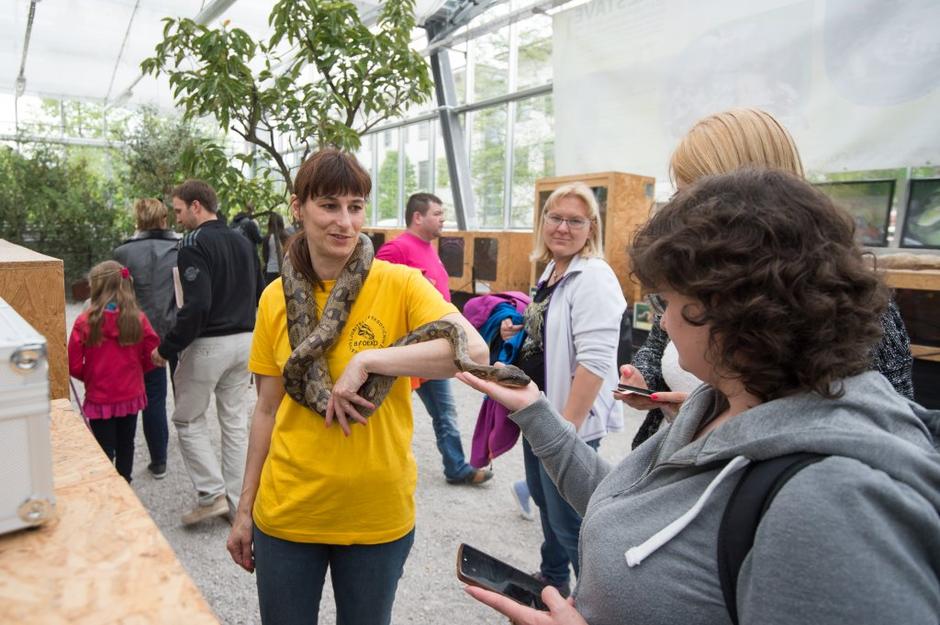 bioexo | Avtor: Anže Petkovšek