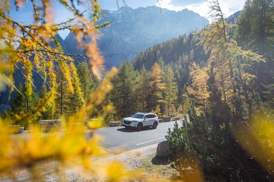 Honda | Avtor: Anže Petkovšek