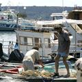 Vlada je ponovila, da bo slovenske ribiče pri opravljanju njihove dejavnosti v o