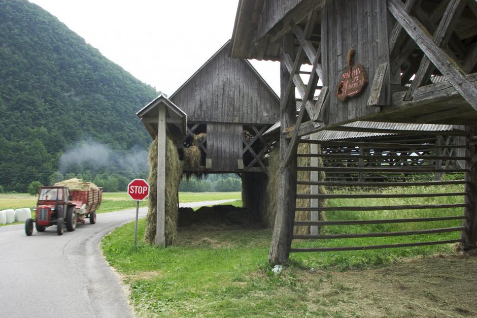 Traktor na cesti | Avtor: Profimedias