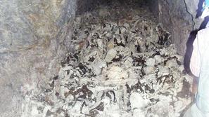 Preiskovalci so v Barbara rovu rudnika v Hudi Jami naleteli na grozljiv prizor p