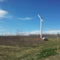 Ena vetrnica prepreči pozebo na 4-5 hektarjih