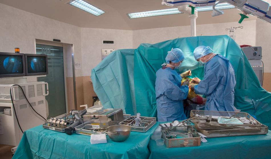 Odpuščeni ortoped: Zato so obračunali z mano!