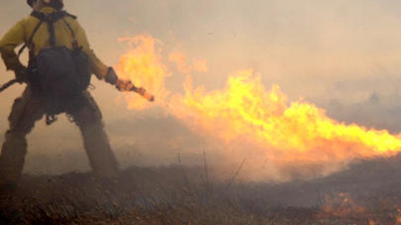 Gozdni požari so v Avstraliji zahtevali 14 človeških življenj.
