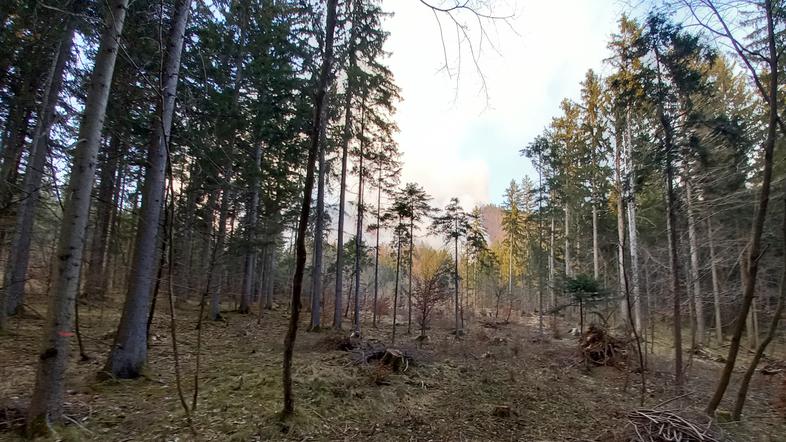 požar, Potoče, Potoška gora