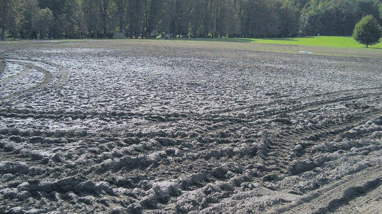 Na sobotnem žuru so zbrali okoli 20 tisoč evrov za odprtje prijazne sobe za beli