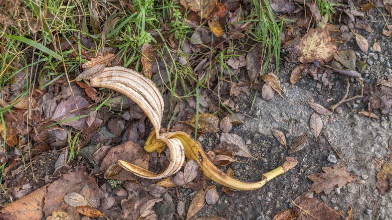 Bananin olupek smet smetenje