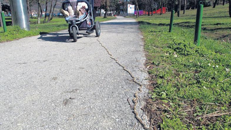 Sprevod gosenic s strupenimi dlačicami, ki ob dotiku dražijo kožo, je lahko dolg