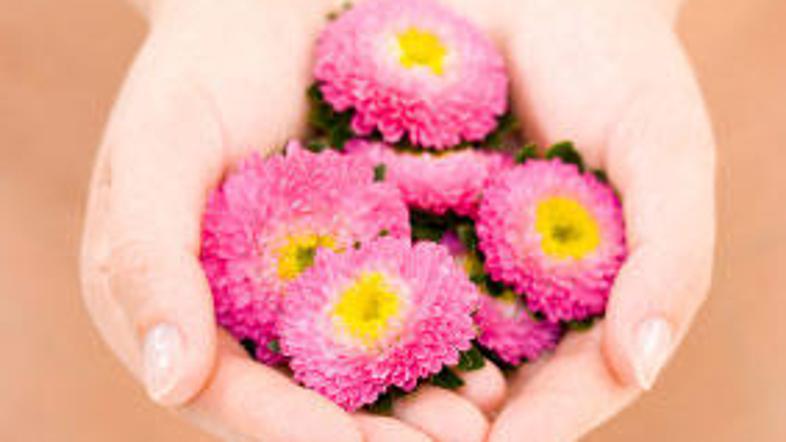 Italijanka vbod prodaja za milijon evrov.