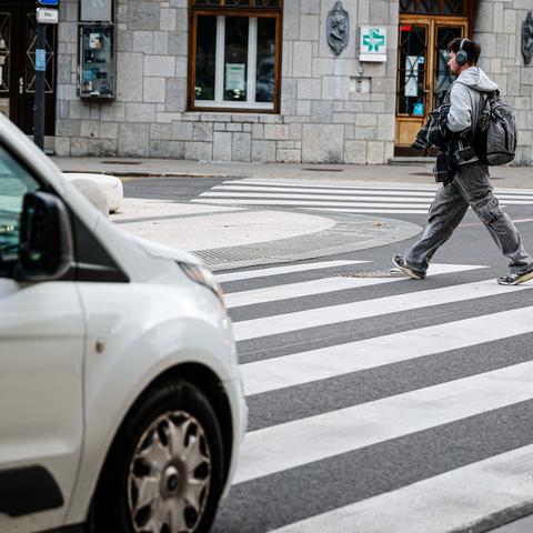 zebra, prehod za pešce