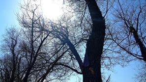 Vreme: Srednjeročna napoved: Tudi do 10 stopinj pod dolgoletnim povprečjem - Pomlad