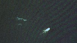 Satelitski posnetki nenavadnega obrisa na gladini Loch Nessa