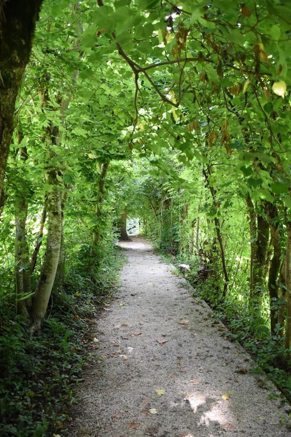 drevored | Avtor: Google Maps