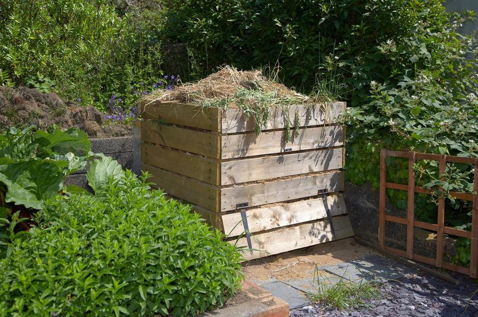 kompost | Avtor: Profimedia