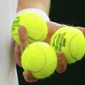 Simptomi nove gripe so bili opaženi pri pobiralcih žogic na turnirju v Wimbledon