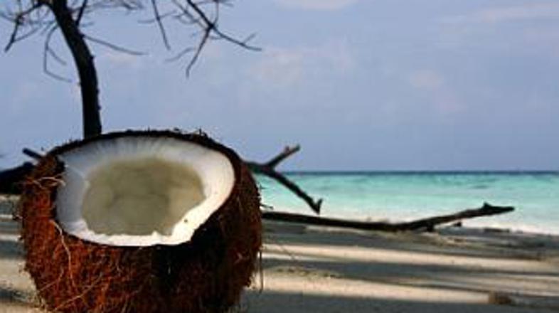 Na poti do sem raje ne jejte!