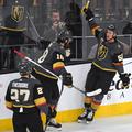 Vegas Golden Knights