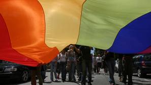 Homoseksualni pari v Urugvaju si bodo lahko kot prvi v Južni Ameriki ustvarili d