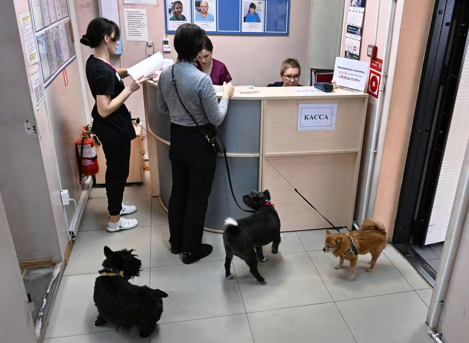 veterinarska ambulanta čakalnica | Avtor: Profimedia