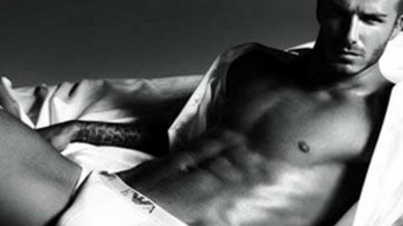 David je rad gej ikona.