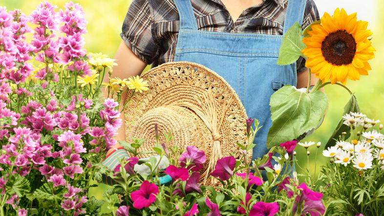 vrt vrtiček vrtnarjenje