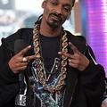 Snoop Dog: "Če se želiš zabavati z mano po koncertu, podpiši izjavo!"