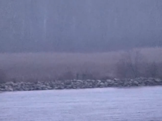 ruski vojaki v estoniji