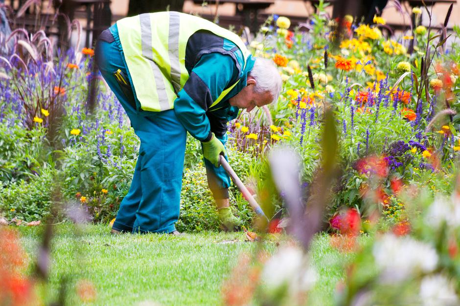 delavec | Avtor: Profimedia