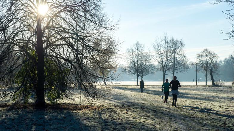 zima mraz zmrzal nizke temperature slana ivje
