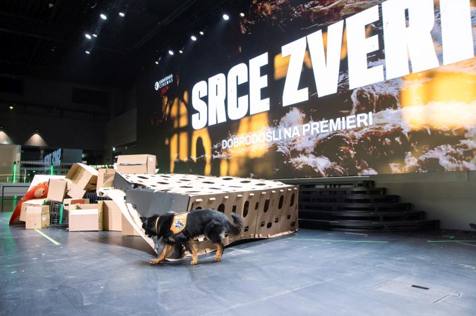 srce zveri