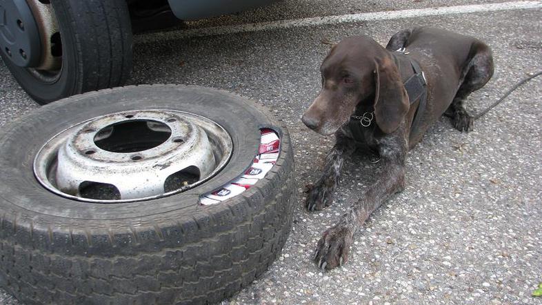V pnevmatiki našli tobačne izdelke 