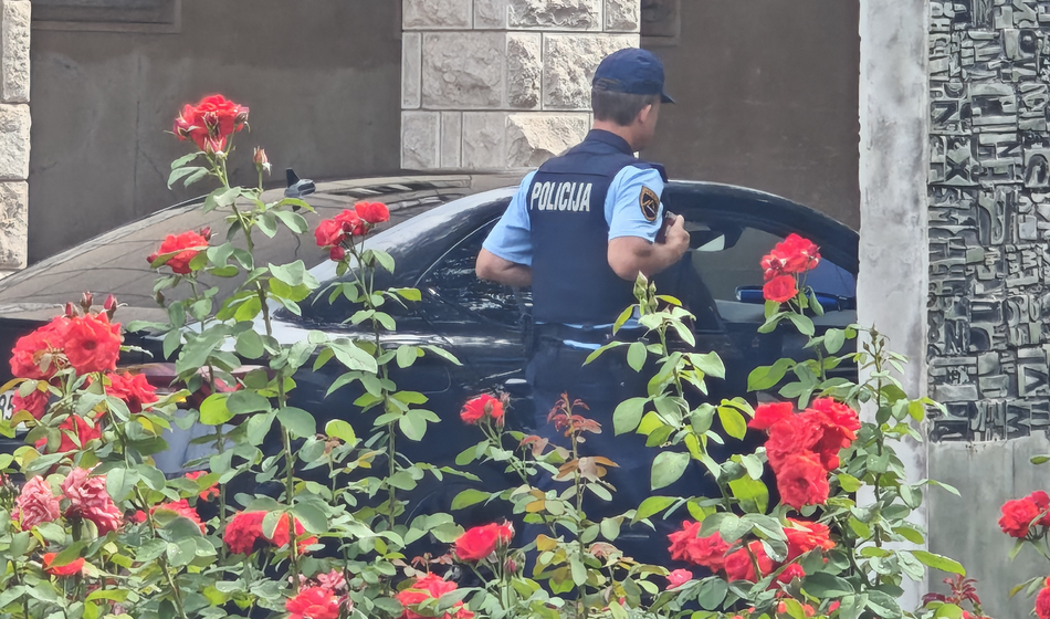 Pogrešano Avstrijko našli mrtvo v gozdu, Slovenec priznal umor