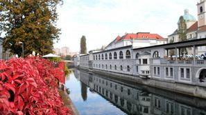 Pod tržnico so bili predvideni garažna hiša s 700 parkirnimi mesti v vrednosti 2