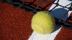 tenis žogica mreža črta